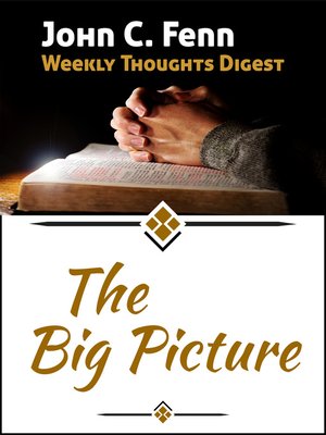 cover image of The Big Picture